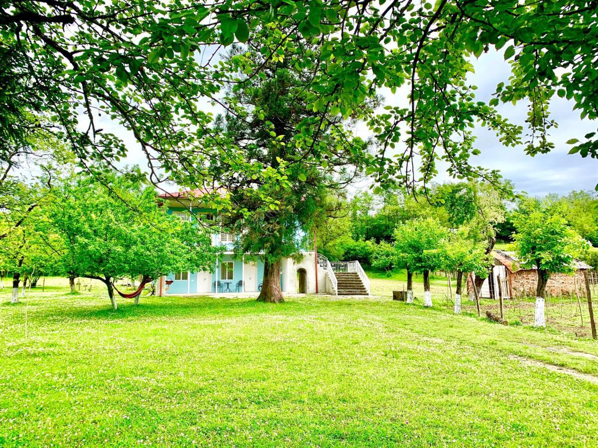 Martv'Elle Boutique Guesthouse Martvili Exterior photo